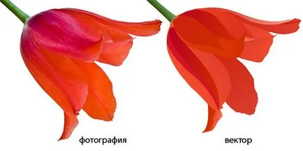 Mi az a meghatározás, raszteres grafika és a funkcionalitás a képformátum (a) Mi az a meghatározás, raszteres grafika és a funkcionalitás a képformátum
