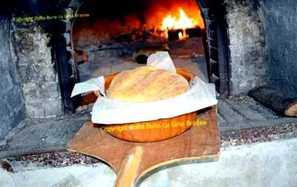 természetes maya