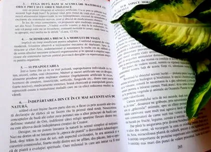 egészséges