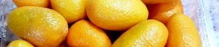 vagy narancs