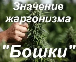 Mit jelent, hogy mit jelent Bosko Bosko Bosko füst, a füst (dohányzás) Mit jelent, hogy mit jelent Bosko Bosko Bosko füst dohányzik