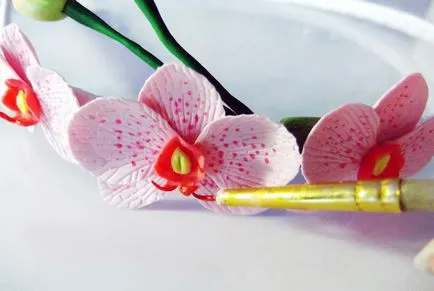 Virág a hideg porcelán kezük (lépésről lépésre fotók)