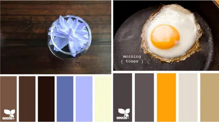 Színkontraszt, lookcolor