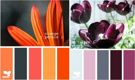 Színkontraszt, lookcolor