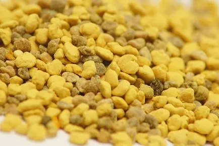 Pollen, mint összegyűjteni, mint egyedi szín pollen rasteniysvoy községben