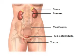 Lány - beteg nő, hogy írjon az okok, tünetek, kezelés