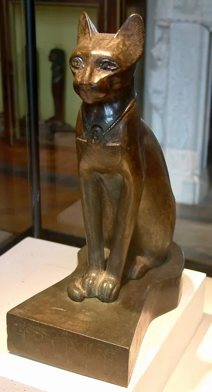 Pet macska macska