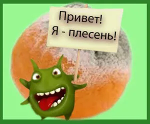 Főoldal penész veszélyes az egészségre (penész) Főoldal penész veszélyes az egészségre