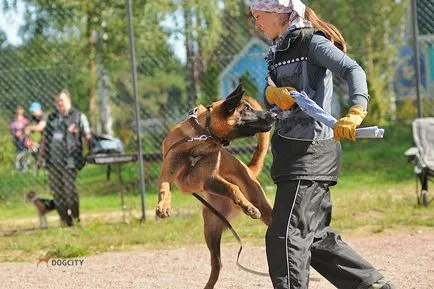 Képzés kutyák és kölykök Moszkva (kutya dresirovka. Szemináriumok. Fórum. IPO. Mort. Dog csapata. Engedelmesség. SchH. Schutzhund. VPG. OKD. PCL. Iskola kutyák. Nemzetközi érdekében vizsgálatokat. UDP A hideg. Észak-Kelet-igazgatási Okrug . SVAO. felvételi osztályban. chill utazás) Képzés kutyák és kölykök Moszkvában