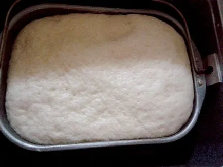 Kelt tészta a kenyér gép -, hogyan kell elkészíteni a kelt tészta a kenyér gép, poshagovіy recept egy fotó