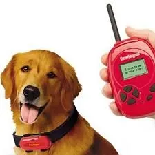 Elektroosheynik kutya, a háziállatok (leírását kiegészítők kutyáknak) Elektroosheynik kutya, a háziállat