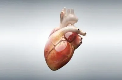 EKG (kardiográfiához) mi ez, és diagnosztikai funkciók (diagnózis) EKG (kardiográfiához) mi ez, és diagnosztikai funkciók