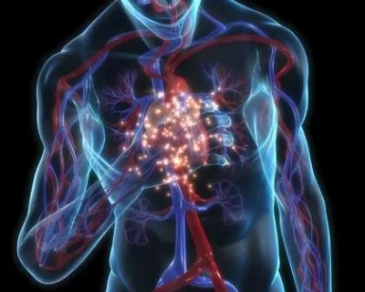 EKG (kardiográfiához) mi ez, és diagnosztikai funkciók (kardiográfiához) EKG (kardiográfiához) mi ez, és diagnosztikai funkciók