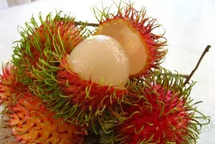 Egzotikus gyümölcs longan, utazás álmok (Ázsia) Egzotikus gyümölcs longan, utazás álmok
