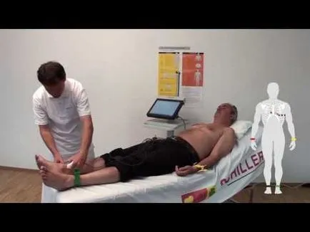 EKG (kardiográfiához) mi ez és diagnosztikai funkciók (a) EKG (kardiográfiához) mi ez, és diagnosztikai funkciók