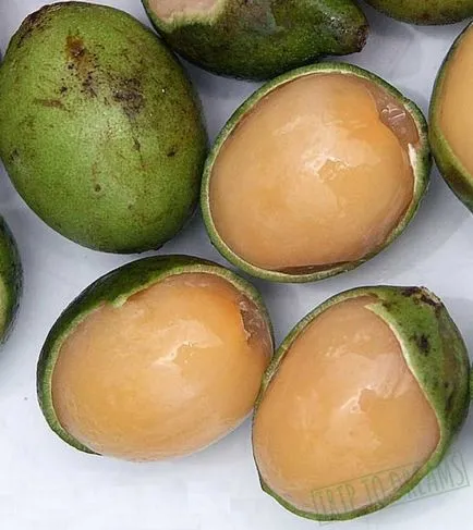 Egzotikus gyümölcs longan, utazás álmok (Longan it) Egzotikus gyümölcs longan, utazás álmok