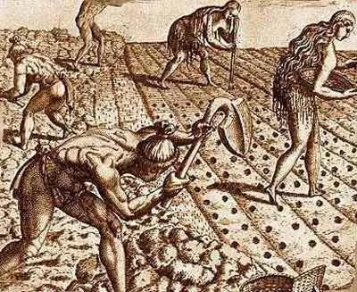 Evolution - olyan jelenség evolúciós tényezők