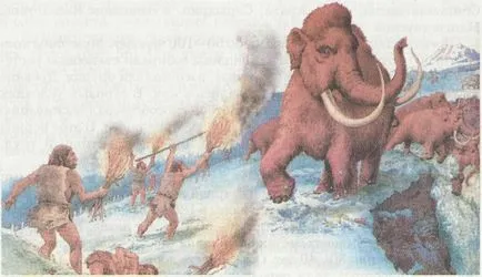 Szakaszában az emberi evolúció