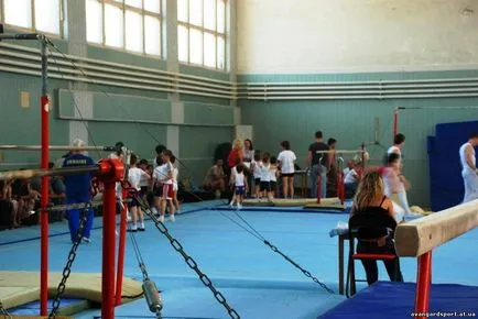 Natural Selection, vagy hogyan lehet bejutni a gyermekek sport (ingyenes) A természetes szelekció, illetve hogyan lehet bejutni a gyermekek sport