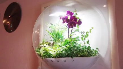 Florarium saját kezűleg mesterkurzus, fotó, növények