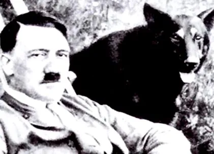 kulináris