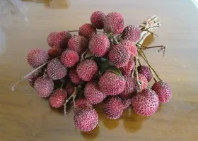 Gyümölcs longan, tulajdonságai, összetétele és hasonló gyümölcsöt enni longan (lamyai) Longan gyümölcs, tulajdonságai, összetétele és hogyan kell enni longan gyümölcs