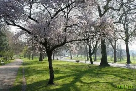 Londoni Hyde Park
