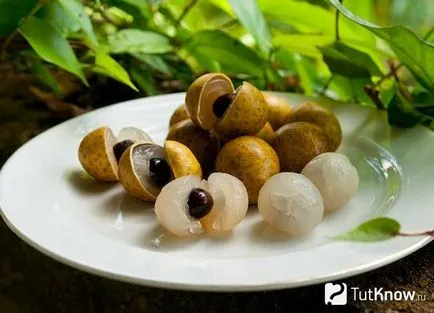 Gyümölcs longan, tulajdonságai, összetétele és mint evés longan gyümölcs (gyümölcs) Longan gyümölcs, tulajdonságai, összetétele és hogyan kell enni longan gyümölcs