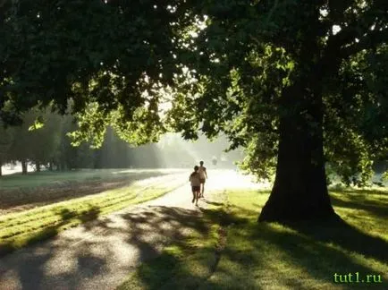 Londoni Hyde Park