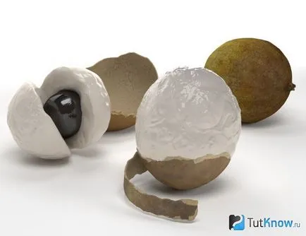 Gyümölcs longan, tulajdonságai, összetétele és hasonló gyümölcsöt enni longan (lamyai) Longan gyümölcs, tulajdonságai, összetétele és hogyan kell enni longan gyümölcs