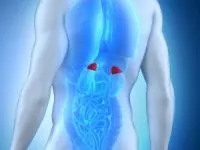 Hyperplasia a mellékvese kéreg és mi az, tünetek, kezelés (tünetek) Hyperplasia a mellékvese kéreg és mi az, tünetek, kezelés