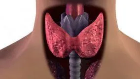 Férfiakban gynecomastia