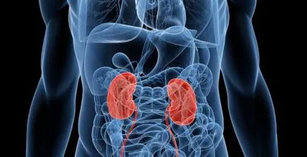Hyperplasia a mellékvese kéreg és mi az, tünetek, kezelés (tünetek) Hyperplasia a mellékvese kéreg és mi az, tünetek, kezelés