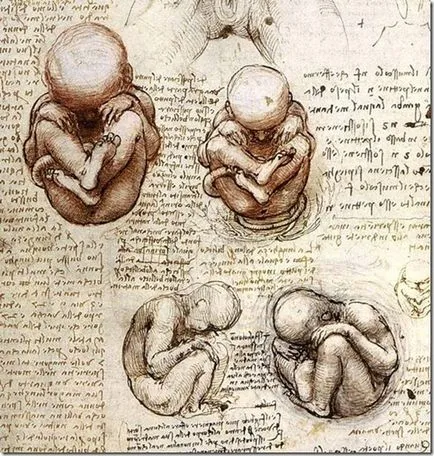 A zseniális Leonardo da Vinci