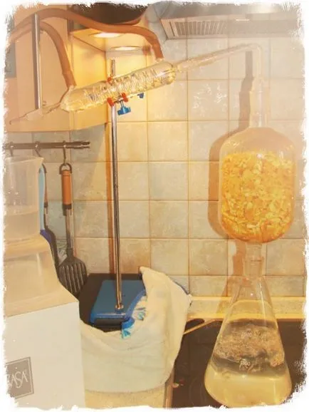 Hydrolat otthon - főzés technológia fotók