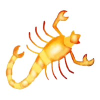 Horoszkóp holnap skorpió, horoszkóp, 365 (Scorpion) Horoszkóp holnap skorpió horoszkóp 365
