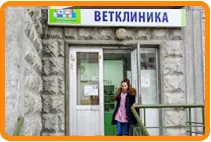Mesterséges etetés kiskutyák
