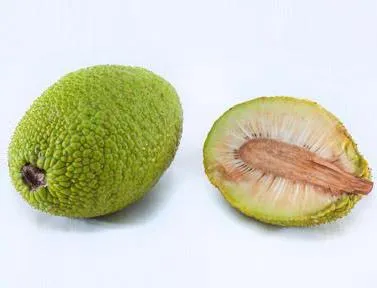 Érdekességek a növények