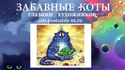 Érdekes kártyák macskák