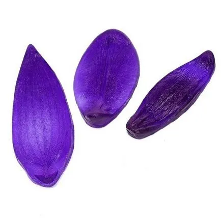 Online Shop decorli - termékek florisztikai és dekoráció szállítás