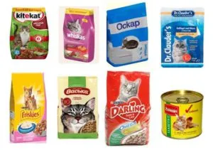 Mi teszi az élelmiszer és a macskák, hogyan kell kiválasztani a megfelelő