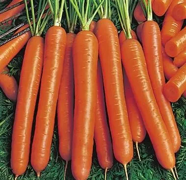 Mi jobb, hogy egy üvegház, és hogy tegye (üvegház) Mi jobb, hogy egy üvegház, és hogy tegye