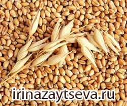 Mivel az ideális család kell kinéznie blog Iriny Zaytsevoy