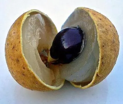 Hogyan enni longan, a blog Thaiföld
