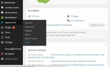 Hogyan adjunk tetszőleges css-stílusok háromféleképpen-WordPress webhely szól wordpress