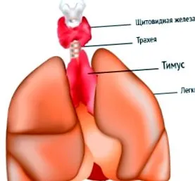лікування