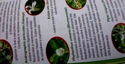 ayurvédikus
