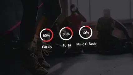 body