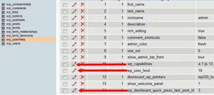 Hogyan változtassuk meg a prefix wp_ a mysql adatbázis, honlap készítés