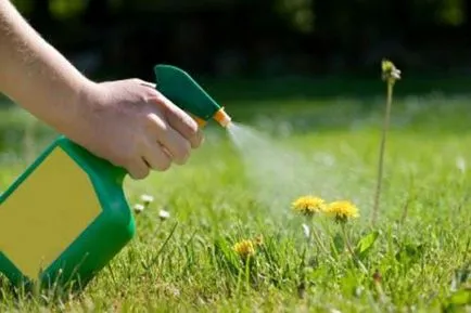 Hogyan lehet megszabadulni a gyomok a területen örökre (a kertben, és a gyepen)